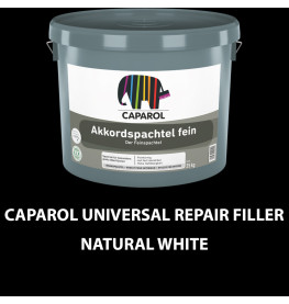 Caparol Universal Repair Filler Fine Natural White 25kg tub